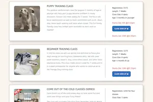 Screenshot of Operation At Ease website showing training classes